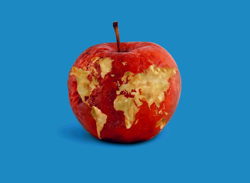 An old apple that looks like the Earth with countries as bits out of the flesh.