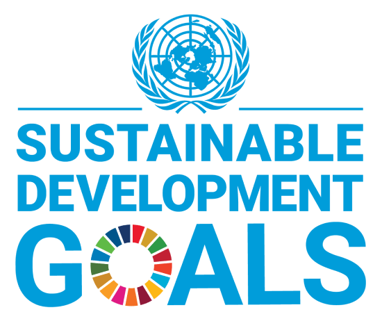 UN Sustainable Development Goals Logo